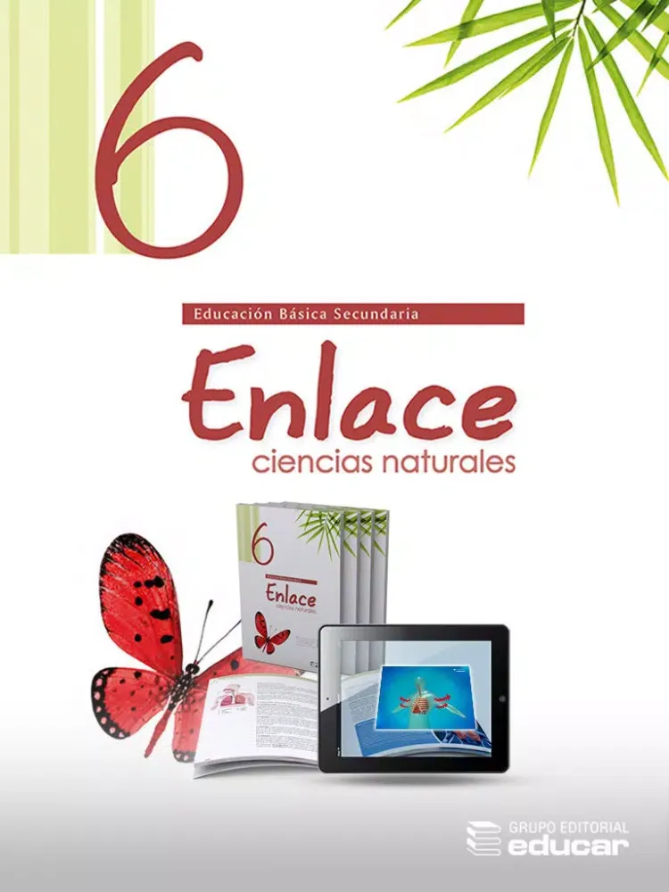 Tangkapan skrin Vector Z | Enlace Ciencias Naturales 6 iPad 