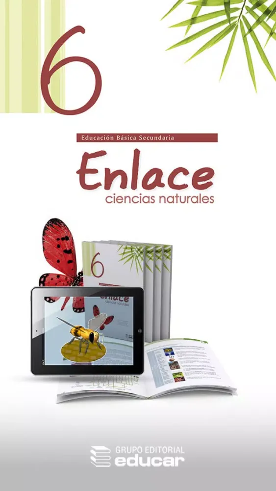 Tangkapan skrin Vector Z | Enlace Ciencias Naturales 6