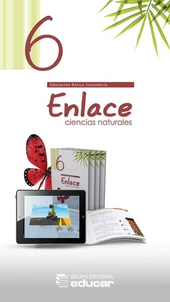 Tangkapan skrin Vector Z | Enlace Ciencias Naturales 6