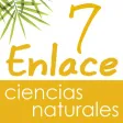 Vector Z | Enlace Ciencias Naturales 7