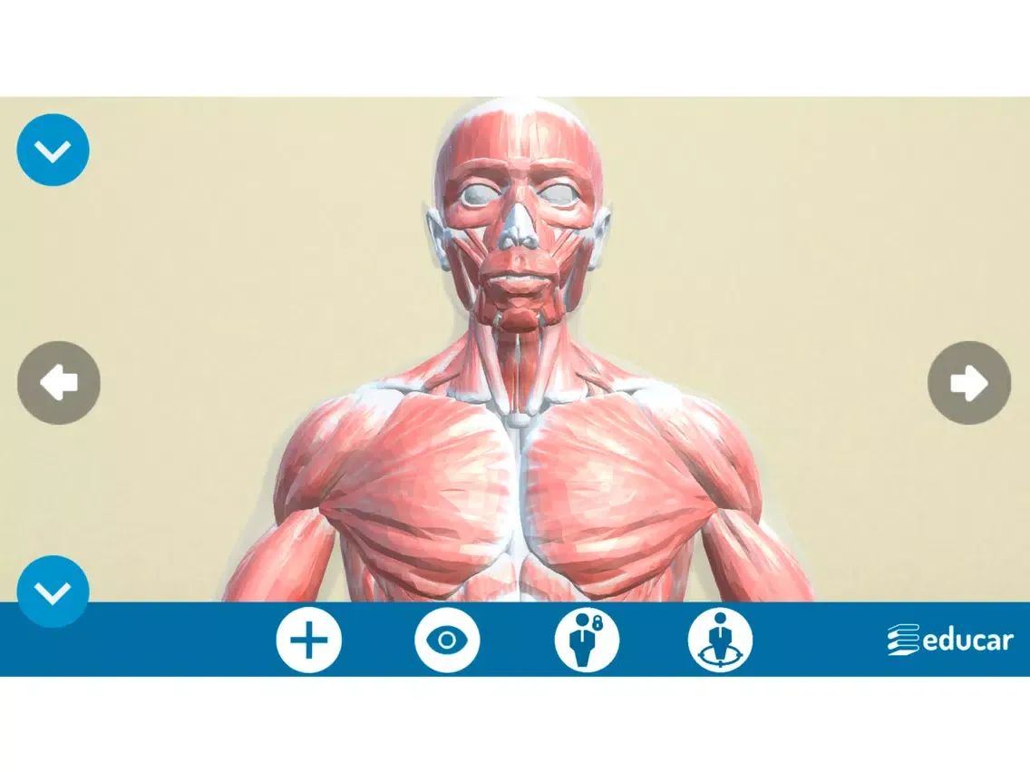 Screenshot di Mi Cuerpo Humano en 3D iPad 
