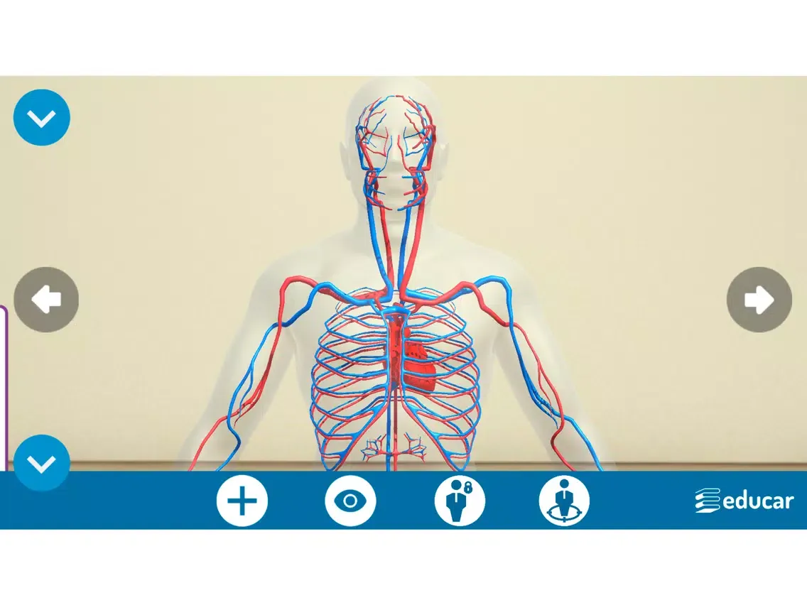 Screenshot di Mi Cuerpo Humano en 3D iPad 