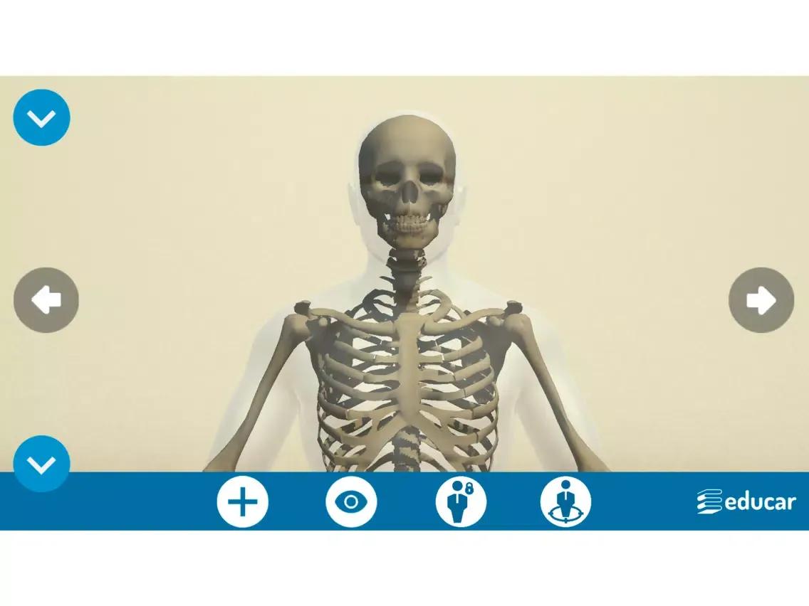 Screenshot di Mi Cuerpo Humano en 3D iPad 