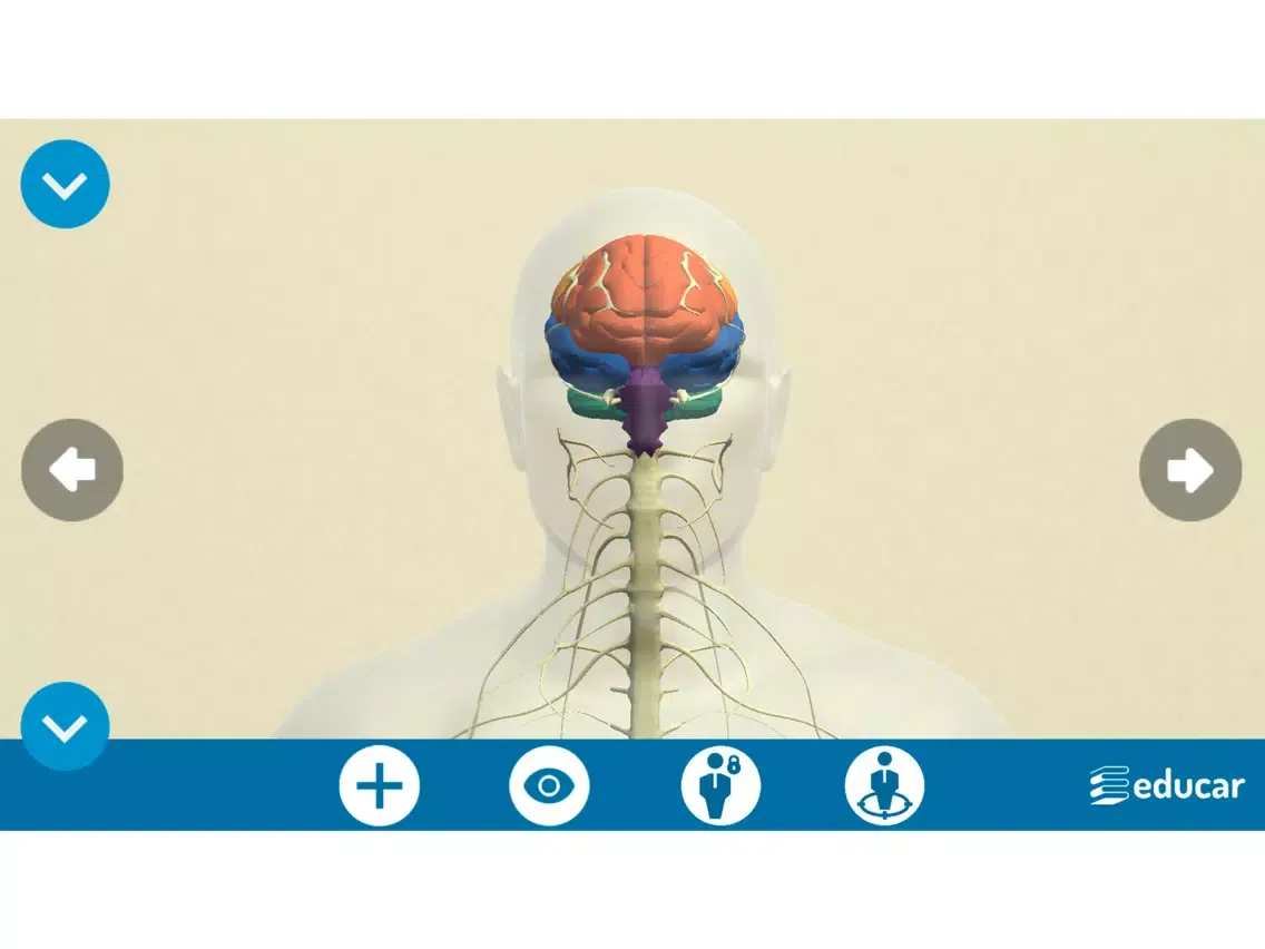 Screenshot di Mi Cuerpo Humano en 3D iPad 