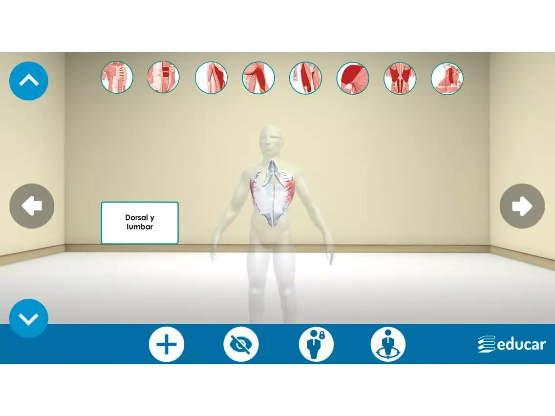 Screenshot di Mi Cuerpo Humano en 3D iPad 