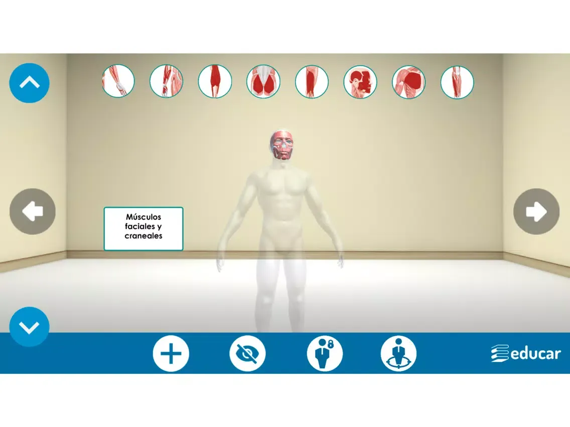 Screenshot di Mi Cuerpo Humano en 3D iPad 