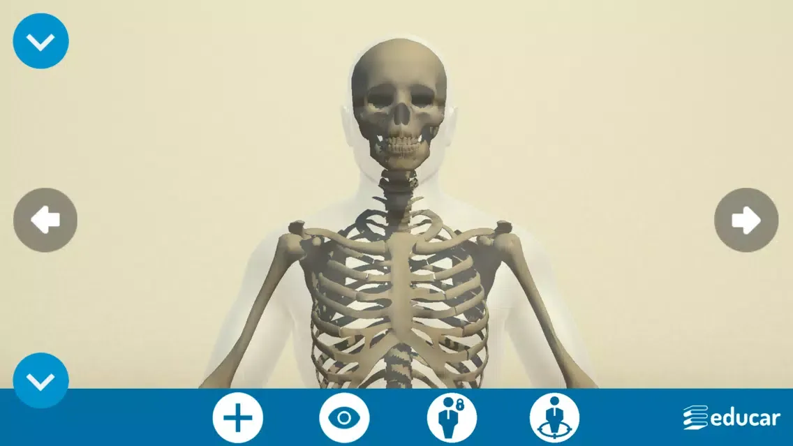 Screenshot di Mi Cuerpo Humano en 3D