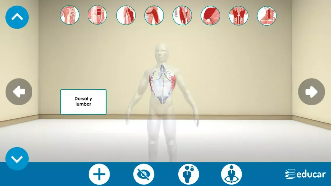 Screenshot di Mi Cuerpo Humano en 3D