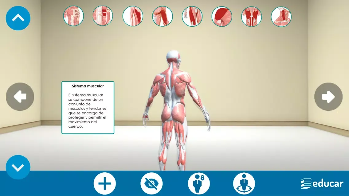 Screenshot di Mi Cuerpo Humano en 3D