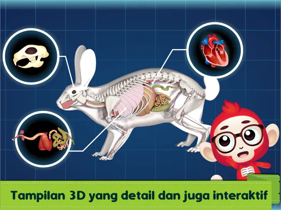 Marbel Sains : Anatomi Hewan iPad  Screenshots