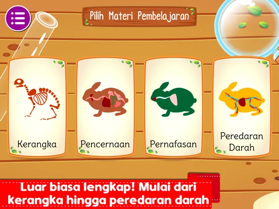 Marbel Sains : Anatomi Hewan iPad  Screenshots