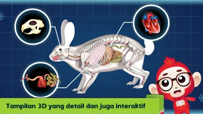 Marbel Sains : Anatomi Hewan Screenshots