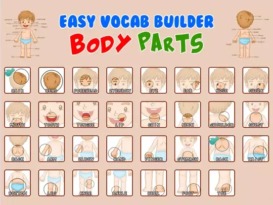 Zrzuty ekranu My Body Parts Learning Games iPad 