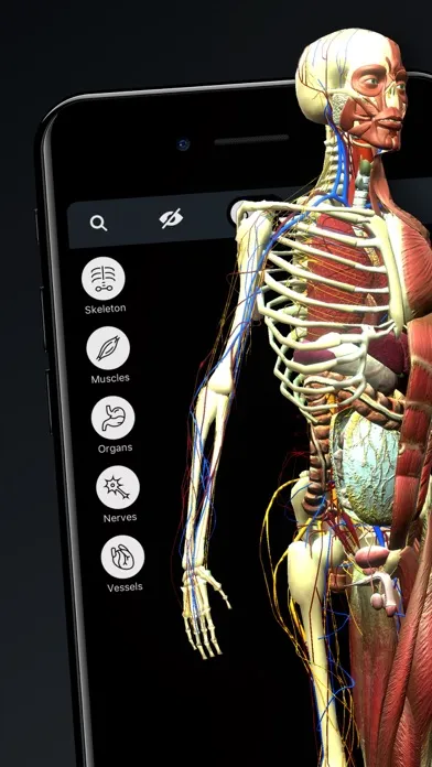 Human Body Atlas: 3D Medical Screenshots