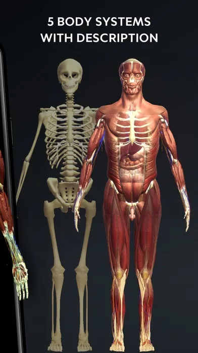Human Body Atlas: 3D Medical Screenshots