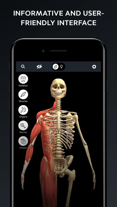 Human Body Atlas: 3D Medical Screenshots