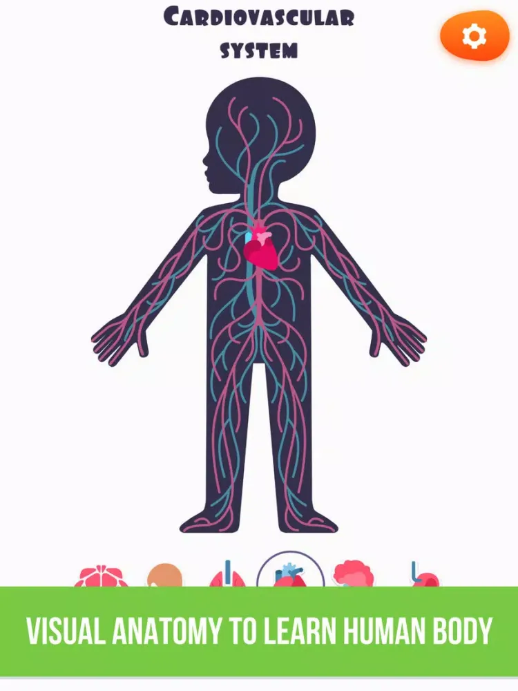 Anatomy: Complete Surgery Game iPad  سکرین شاٹس