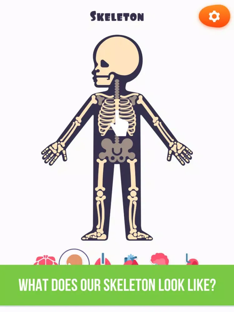 Anatomy: Complete Surgery Game iPad  سکرین شاٹس