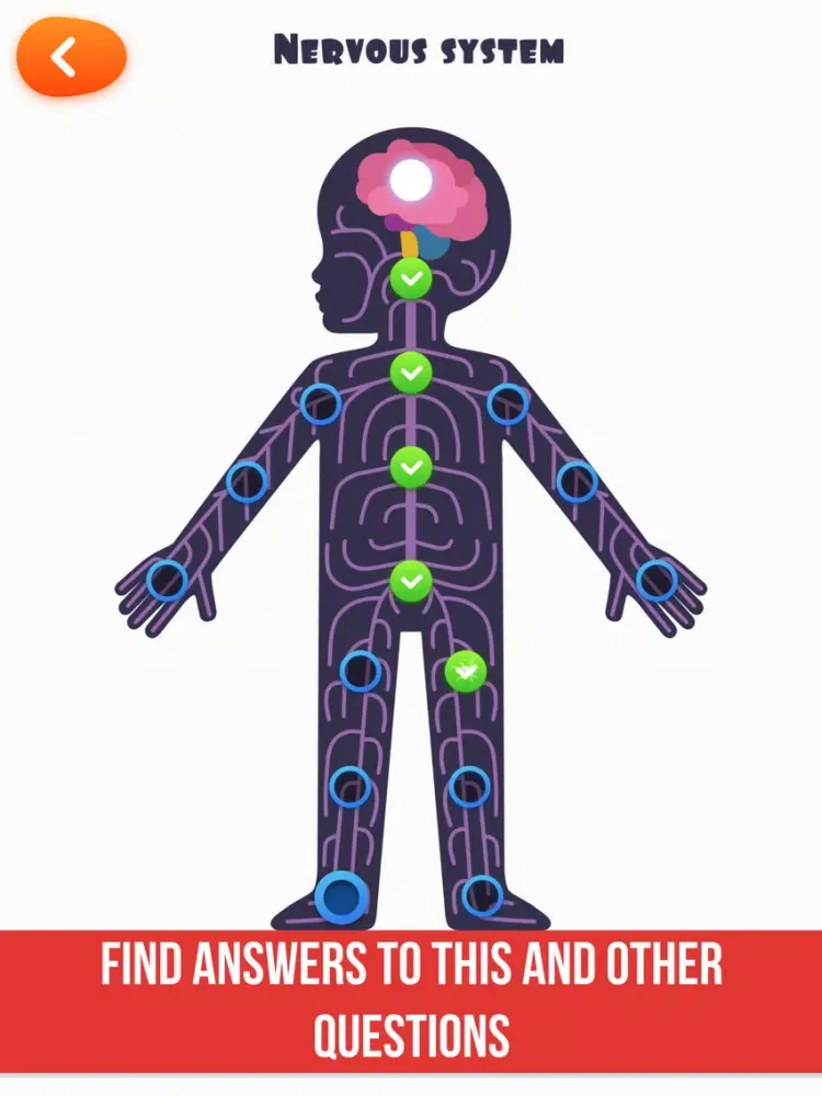 Anatomy: Complete Surgery Game iPad  سکرین شاٹس