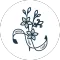 IFSJ – ESCOLAS