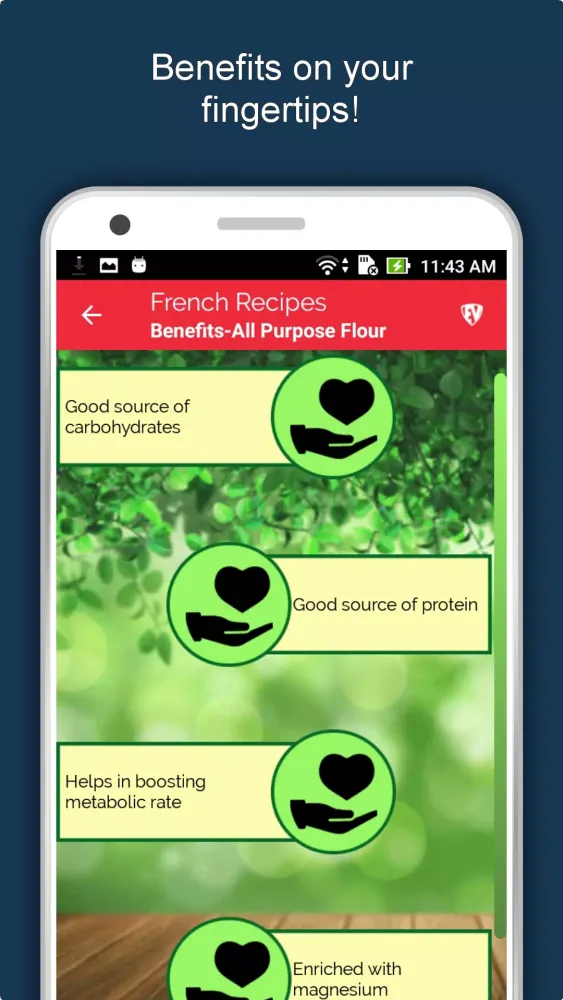 Screenshot di French Food Recipes Offline