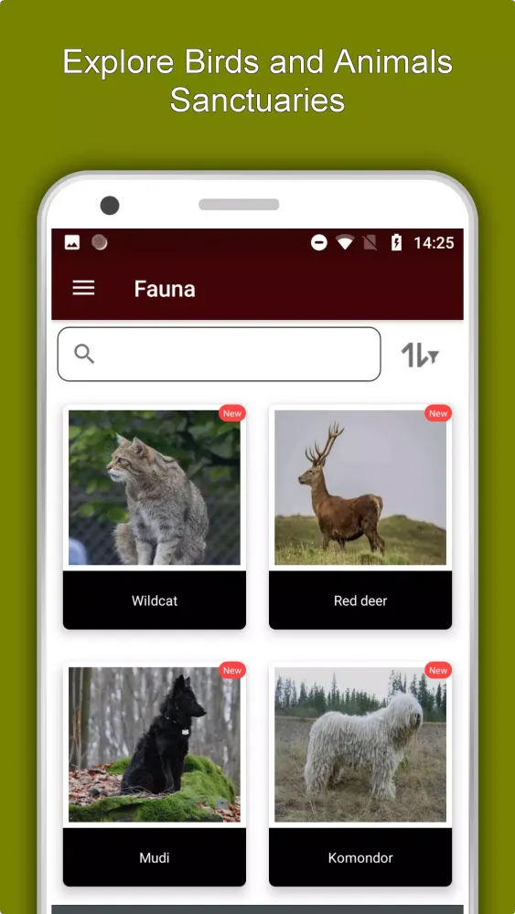 Budapest Screenshots