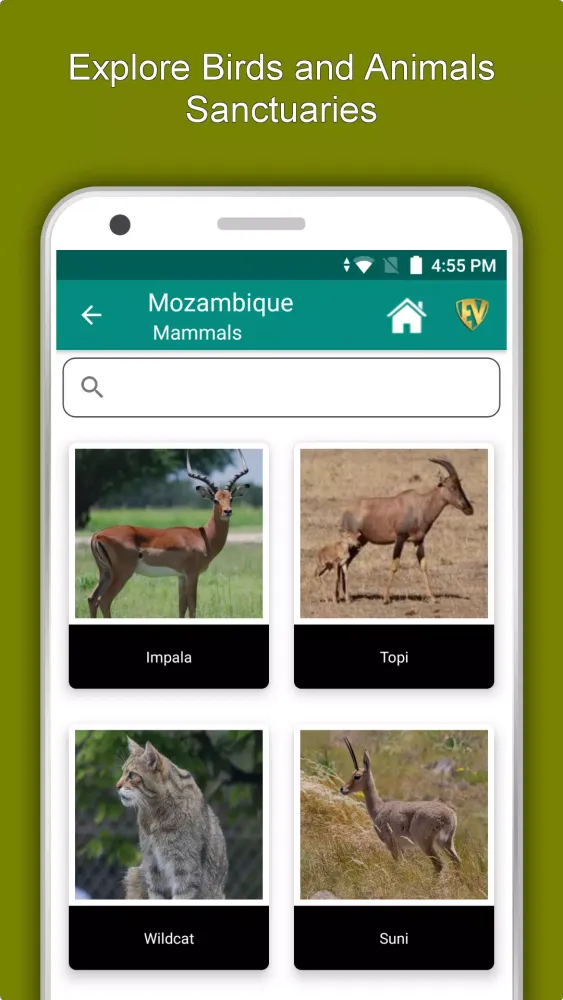 Mozambique स्क्रीनशॉट