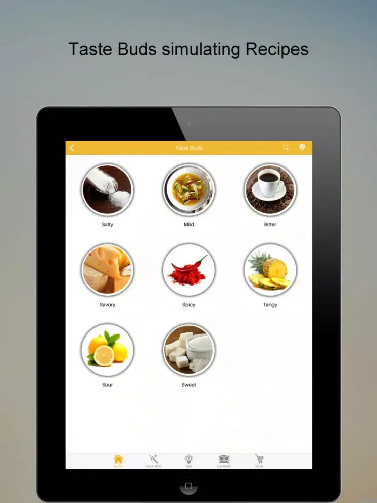 Egg Recipes SMART Cookbook iPad 应用截图
