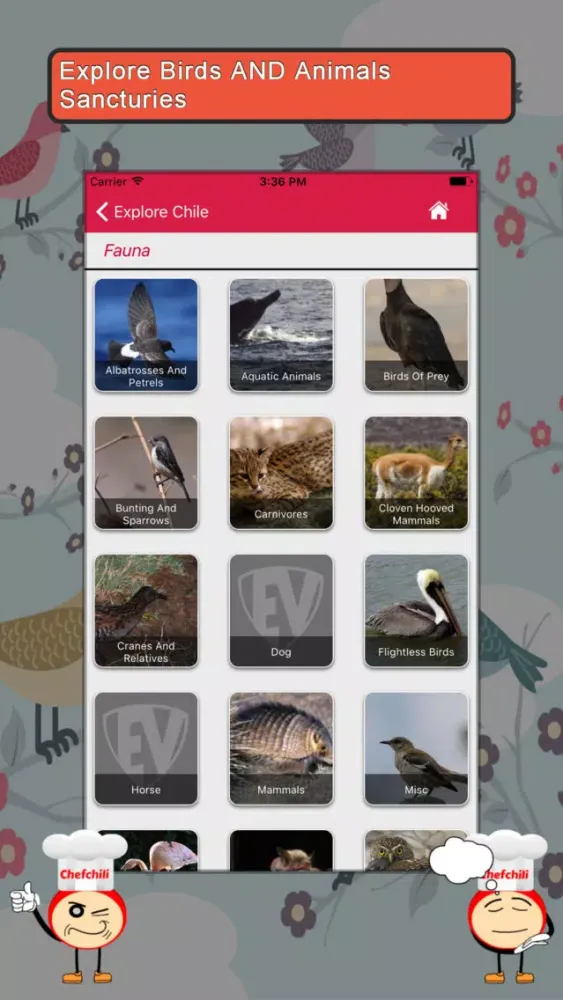 Скриншоты Explore Chile SMART Guide