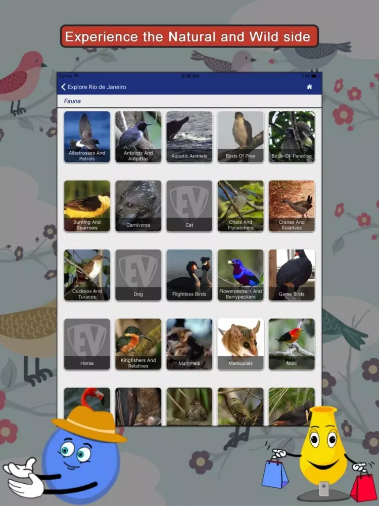 Screenshot di Explore Rio De Janeiro SMART City Guide iPad 