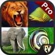 Animals Encyclopedia PRO Guide Animals Encyclopedia PRO Guide
