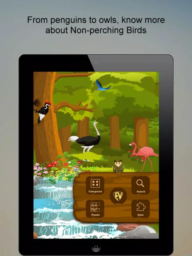 ภาพหน้าจอของ Non-Passerine Bird Dictionary iPad 