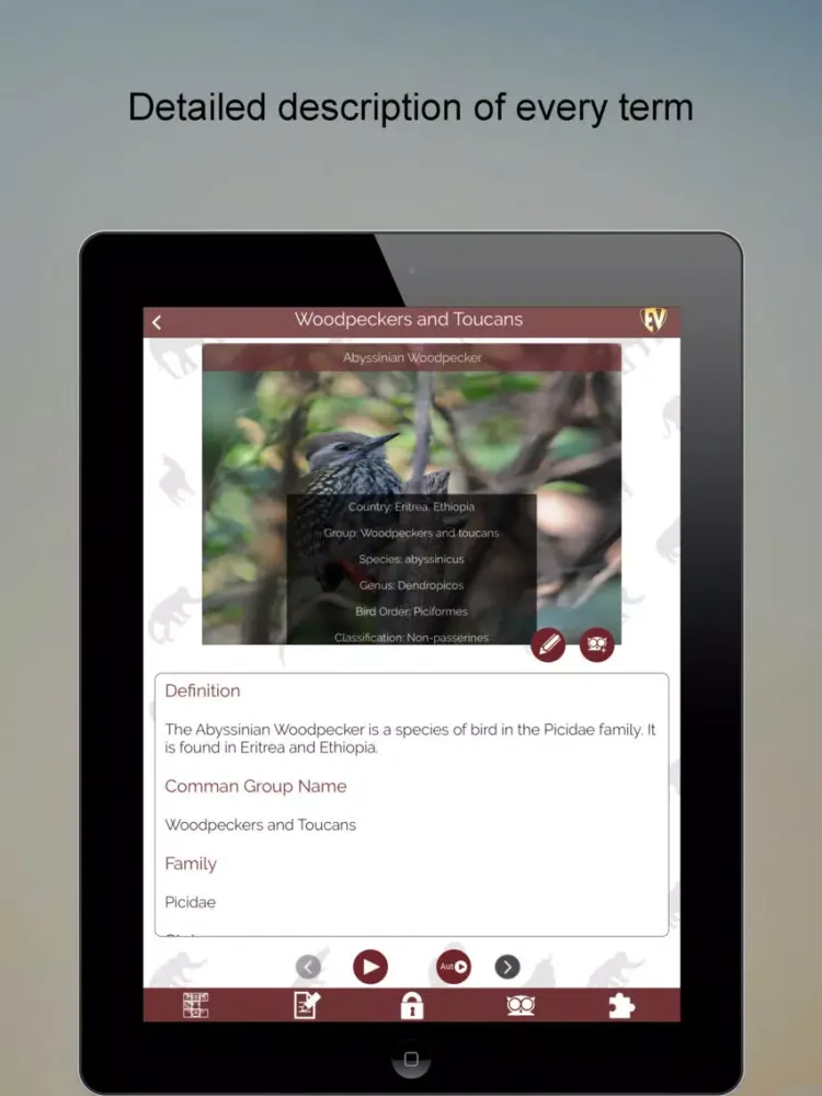 ภาพหน้าจอของ Non-Passerine Bird Dictionary iPad 