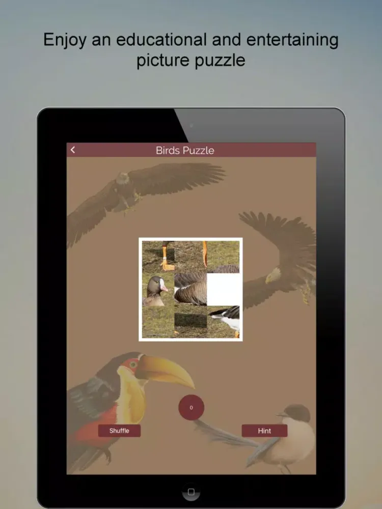 ภาพหน้าจอของ Non-Passerine Bird Dictionary iPad 