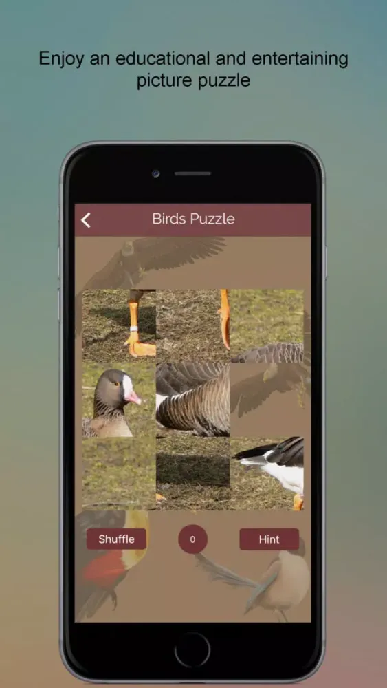 ภาพหน้าจอของ Non-Passerine Bird Dictionary