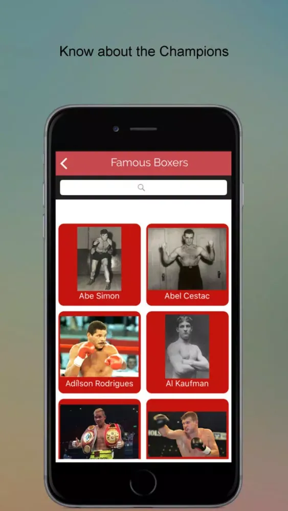 Capturas de tela do Boxing Dictionary SMART Guide