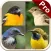 Perching Birds PRO: SMART guide to beautiful Singing Birds with Games & Puzzles