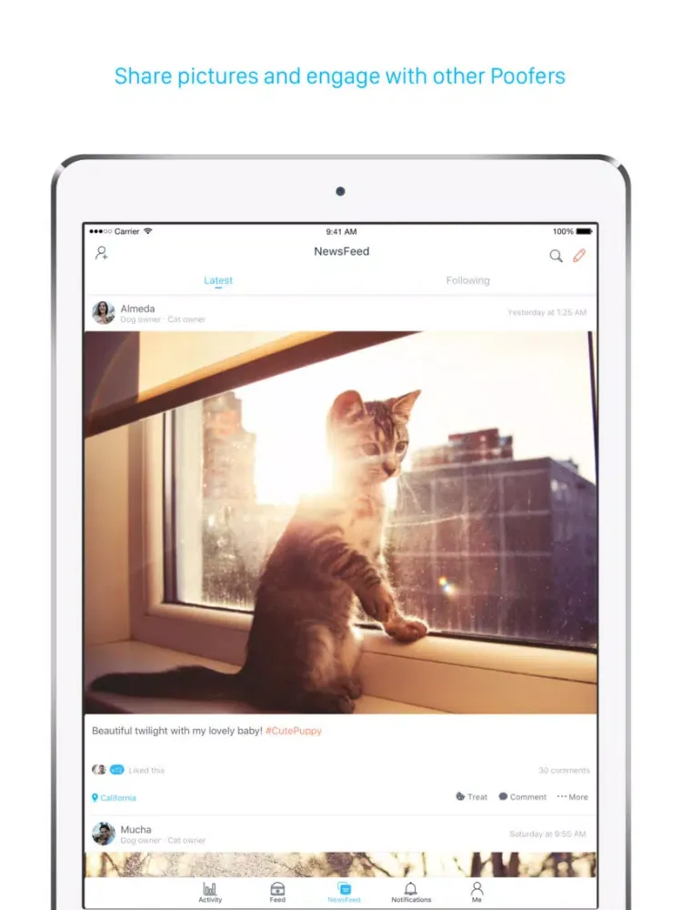 Capturas de pantalla de Poof Pet Activity Tracker iPad 