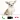 Chihuahua Dog Video Call