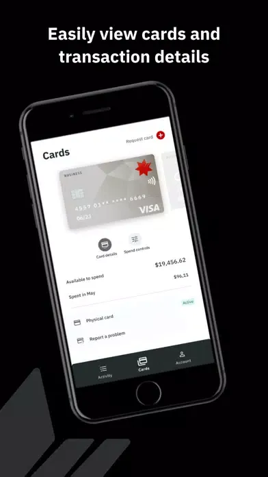 NAB Expense Control Screenshots