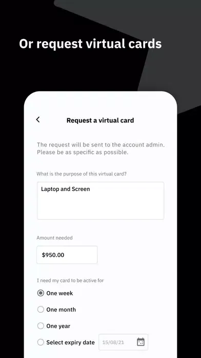 NAB Expense Control Screenshots