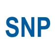 Cesta SNP