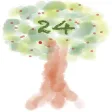 simple24