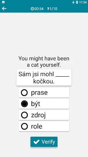 Czech - English应用截图