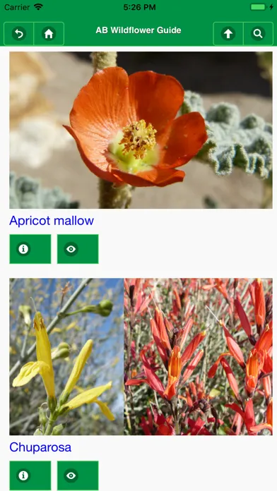 Ảnh chụp màn hình của Anza-Borrego Wildflowers Lite
