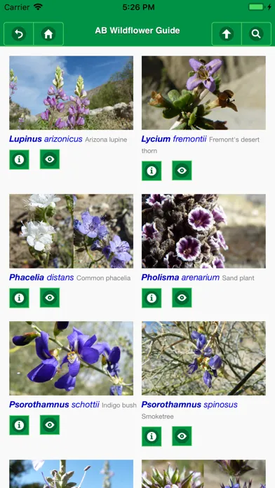Ảnh chụp màn hình của Anza-Borrego Wildflowers Lite