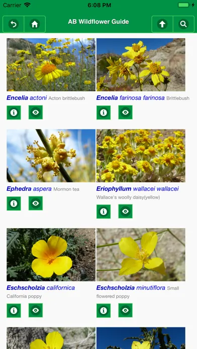 Ảnh chụp màn hình của Anza-Borrego Wildflowers Lite