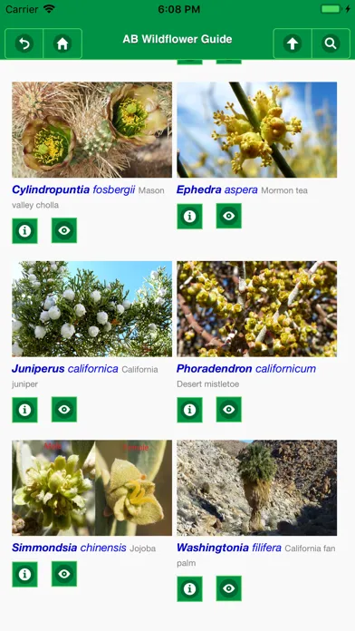 Ảnh chụp màn hình của Anza-Borrego Wildflowers Lite