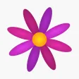 Menstrual Period Tracker