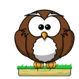 Owl Pounce